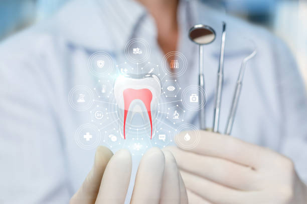 Oak Ridge, FL Holistic Dental Services Pros